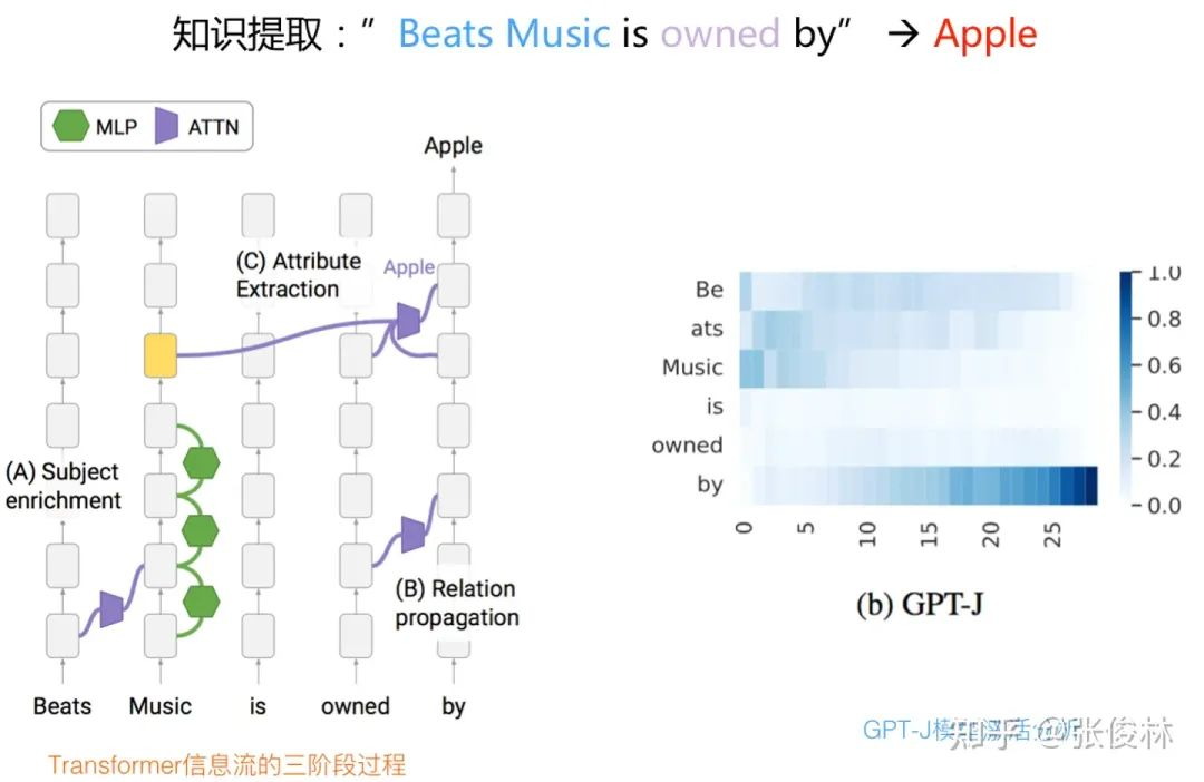 图2.1 GPT模型对知识的提取归纳过程示意图